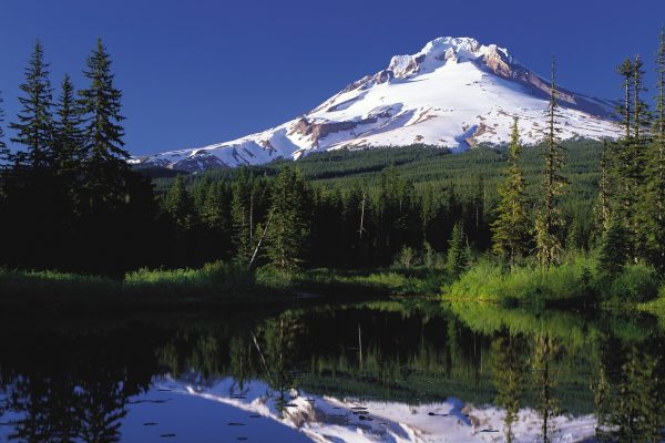 MtHood_TrilliumLake-e1429389197426