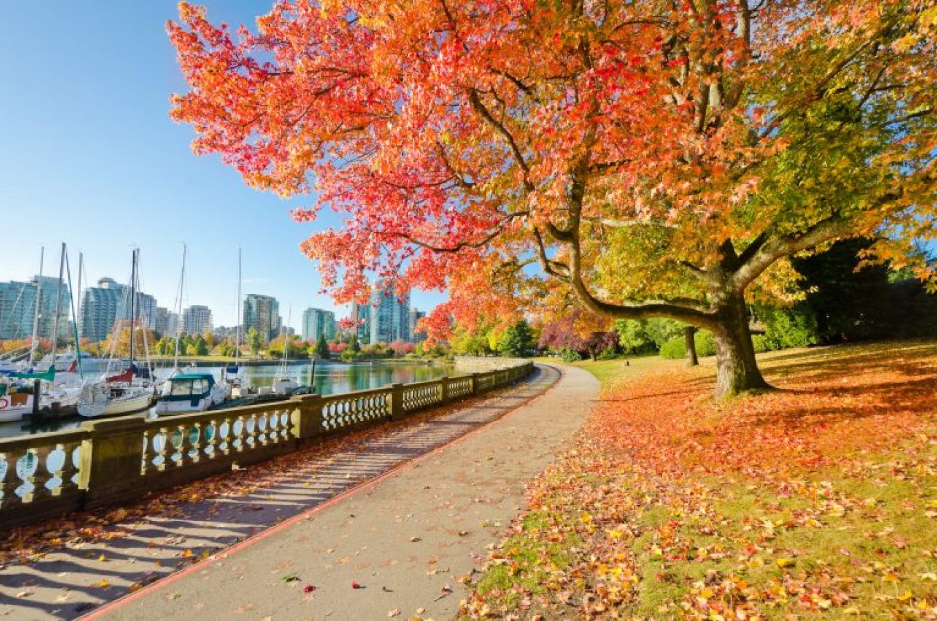 史丹利公園（Stanley-Park）-768x509