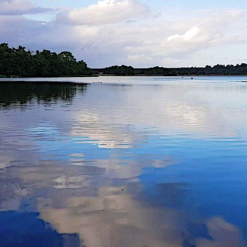 frensham-little-pond